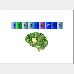 Hypothalamus digital period table Posters and Art